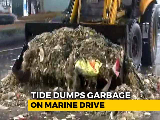 High Tide Spills Garbage Along Marine Drive, 12 Tonnes Removed