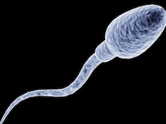 Poor AQI: Can Air Pollution Affect Sperm Health?