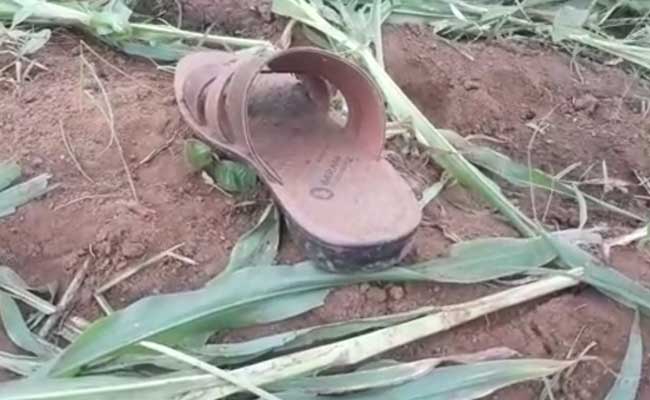 गुजरात के दाहोद में मोबाइल चोरी के शक में दो युवकों को भीड़ ने पीटा, एक की मौत