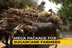 As Cane Dues Touch 22,000 Crores, Centre Plans 8,000 Crore-Balm: Sources As Cane Dues Touch 22,000 Crores, Centre Plans 8,000 Crore-Balm: Sources