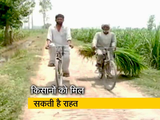 Top News @8AM: गन्ना किसानों को 8 हजार करोड़ रुपये का पैकेज देगी सरकार : सूत्र