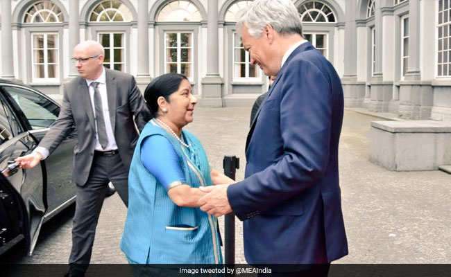 Foreign Minister Sushma Swaraj Holds Talks With Belgium's Deputy PM