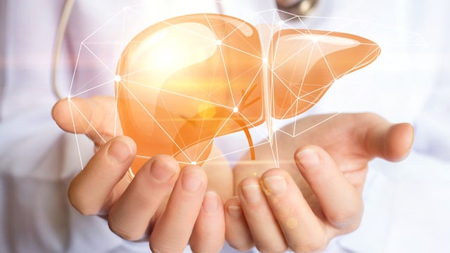 World Hepatitis Day: Living a healthy lifestyle is important for preventing hepatitis and a healthy liver