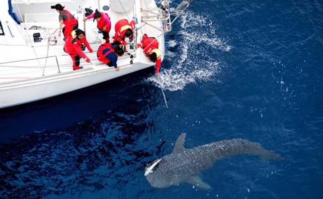 "Daring To Dream Big": The Successful All-Women Crew Of Tarini Returns