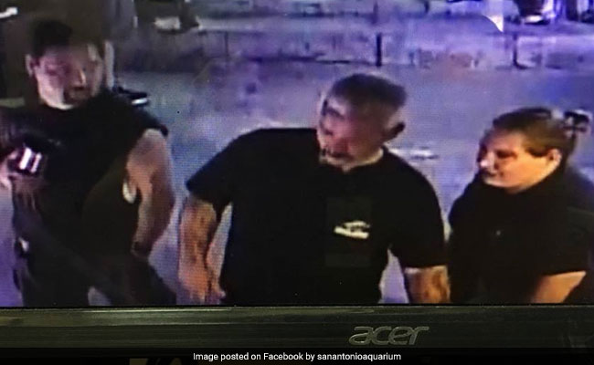 Suspects Steal Shark From Aquarium By Disguising It As Baby. Watch Video