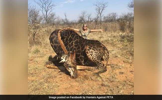 US Woman Said She Killed A Giraffe - To Save More Giraffes