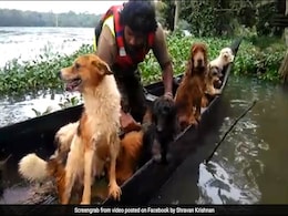 Viral: In Kerala, 18 Dogs And Their Owner Rescued From Flooded House Viral: In Kerala, 18 Dogs And Their Owner Rescued From Flooded House