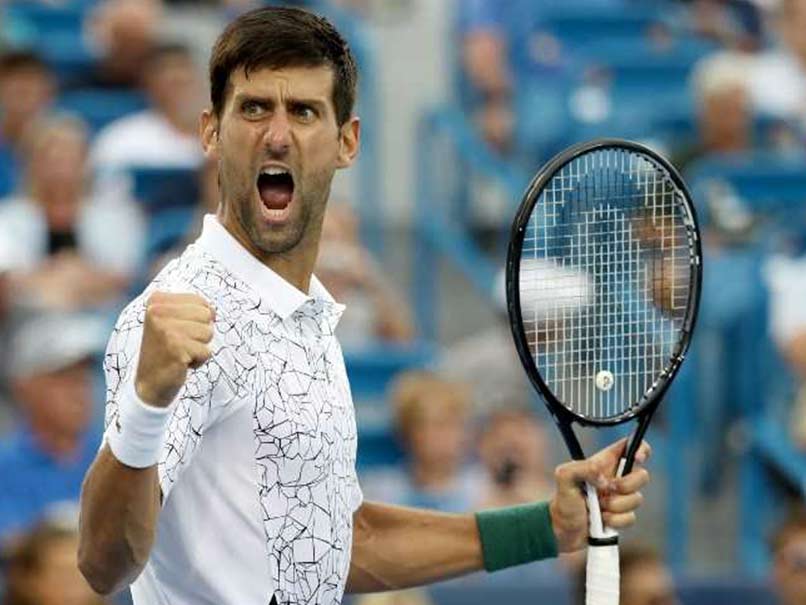 Novak Djokovic To Face Marin Cilic As Cincinnati Masters Title Dream Draws Closer