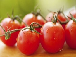 टमाटर की ऊंची कीमतों से राहत के लिए केंद्र का मदर डेयरी को निर्देश, बेचें 'प्यूरी' टमाटर की ऊंची कीमतों से राहत के लिए केंद्र का मदर डेयरी को निर्देश, बेचें 'प्यूरी'