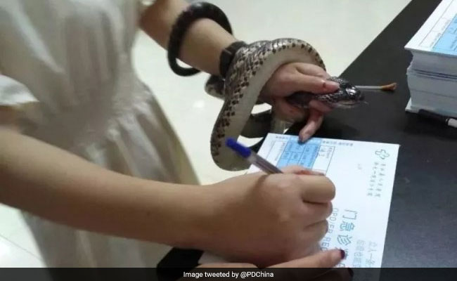 Woman Bitten By Snake Walks Into Hospital With It Wrapped Around Wrist