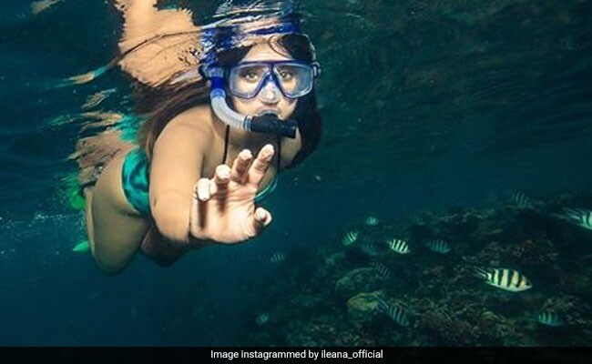 बॉयफ्रेंड ने कैमरे में कैद कीं इलियाना की शानदार हॉलीडे तस्वीरें, क्या आपने देखीं!