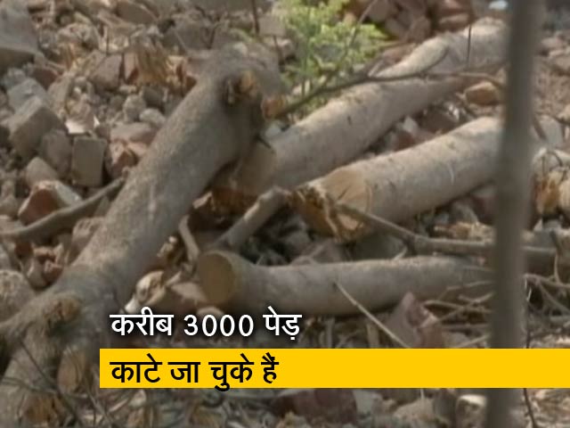 दिल्ली में पेड़ काटने की योजना पर हंगामा