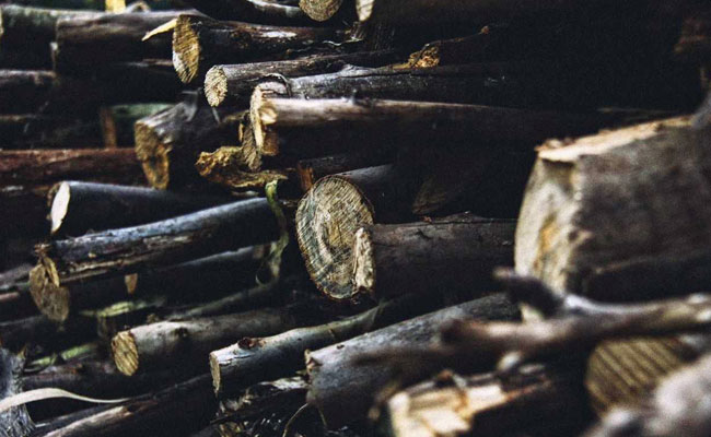 Rs 46 Lakh Fine On Uttarakhand Ex-Top Cop For Illegally Cutting 25 Trees