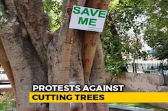 Delhi Residents Win Battle To Save Trees, For Now Delhi Residents Win Battle To Save Trees, For Now