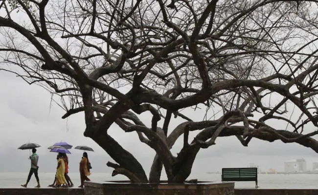 51 Die In Lightning Strikes In Bihar And Jharkhand Since Tuesday