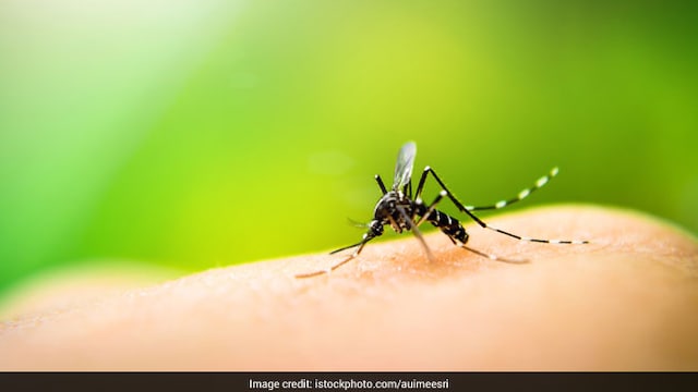 World Mosquito Day: 5 Deadly Diseases Spread By Mosquitoes