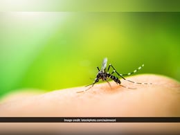 World Mosquito Day 2025: विश्व मच्छर दिवस 2025, क्या है इस दिन का महत्व, इतिहास और थीम