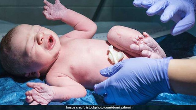 A baby's umbilical cord contains blood-forming stem cells which can rebuild the immune system