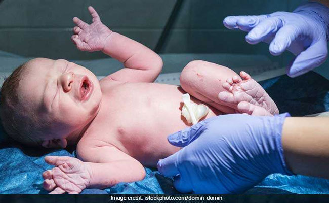 A baby's umbilical cord contains blood-forming stem cells which can rebuild the immune system