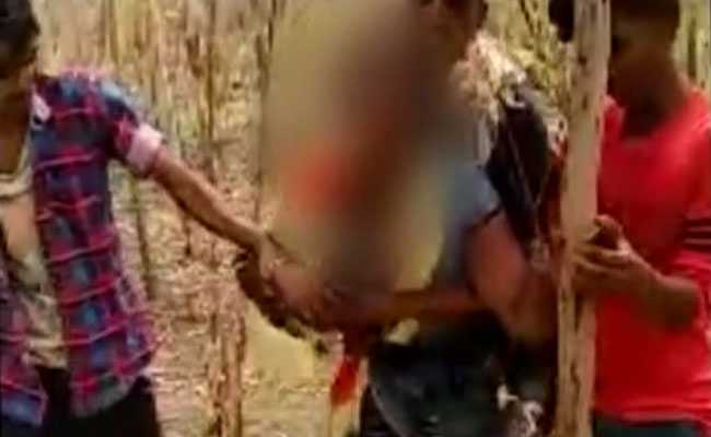 Three Men Molest Woman In Uttar Pradesh's Unnao, Another Man Films It