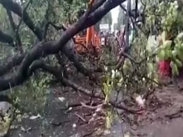 40 Dead In Thunderstorms In Uttar Pradesh, Bihar And Jharkhand 40 Dead In Thunderstorms In Uttar Pradesh, Bihar And Jharkhand
