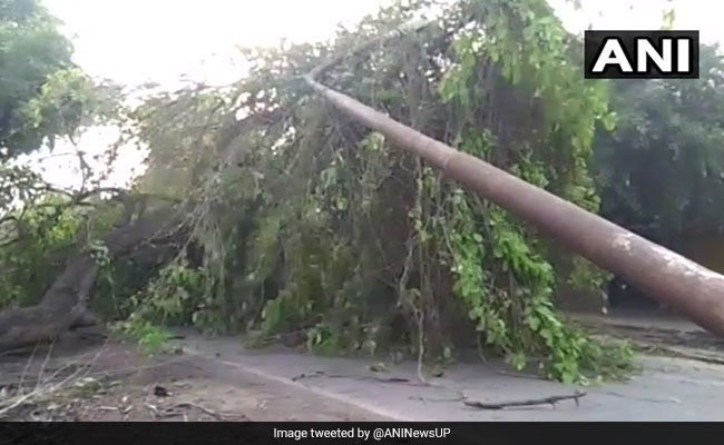 17 Dead In Thunderstorms Across Uttar Pradesh