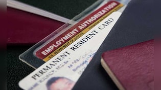 India's First Reaction To US Suspending Tech Firms From Green-Card Programme: 'Talent Mobility Adds Value'