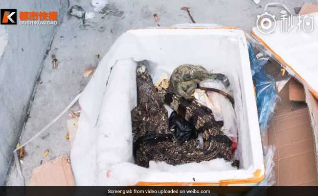 She Ordered Health Care Products, Found Dead Crocodile In Package Instead