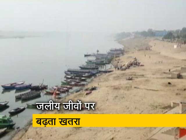 GROUND REPORT : गंगा नदी का घटता जलस्तर, रेत के टीले दिखने लगे