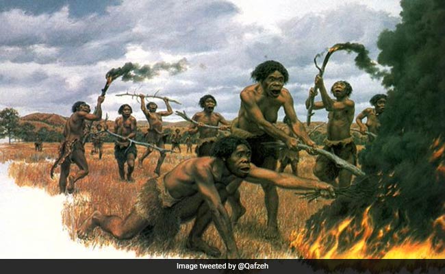 आलस के कारण विलुप्त हो गए थे Homo Erectus, जीने के लिए बनाई थीं ऐसी रणनीति