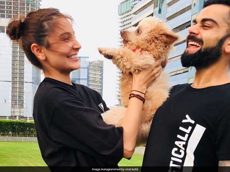 Meet Virat Kohli And Anushka Sharma's New Friend
