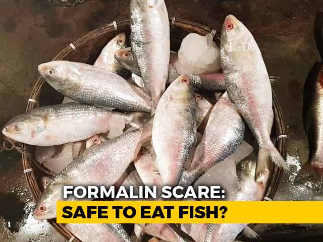 Formalin Scare: Safe To Eat Fish?