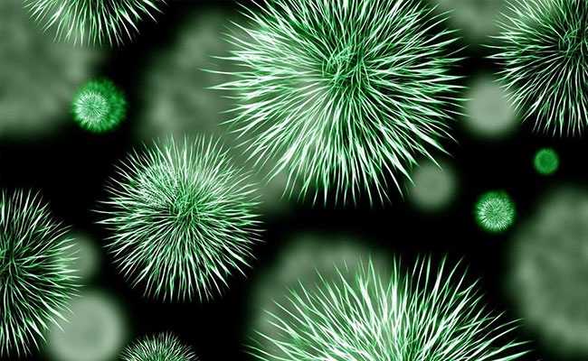 Researchers Find Ways To Promote The Growth Of Good Bacteria In Human Gut