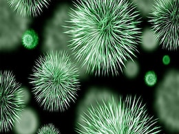 He Went Crabbing, Came Back With Bacteria That Now Threatens His Life He Went Crabbing, Came Back With Bacteria That Now Threatens His Life
