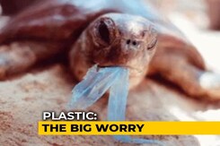 5 Swaps To Make To Lead A Plastic-Free Lifestyle 5 Swaps To Make To Lead A Plastic-Free Lifestyle