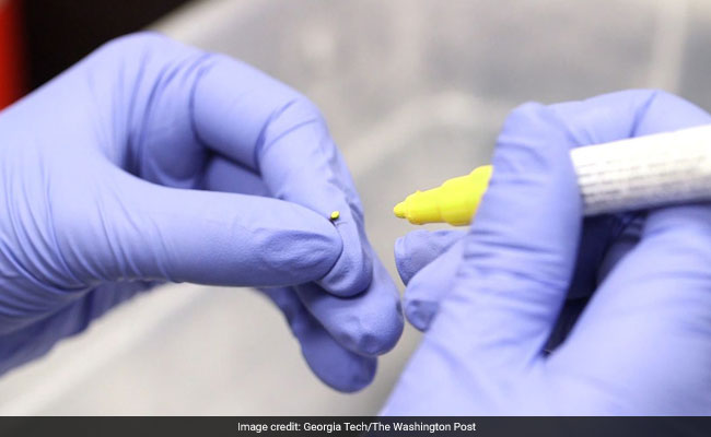 The Importance Of Being Idle: A Lesson From Lazy Fire Ants