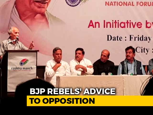 "Don't Divide Votes, Fight Together": BJP Rebels' Advice To Opposition