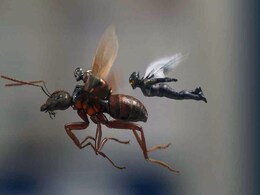 Ant Man and The Wasp Movie Review: धांसू एंटरटेनमेंट के साथ ऐंट मैन और वास्प की हंगामाखेज जुगलबंदी Ant Man and The Wasp Movie Review: धांसू एंटरटेनमेंट के साथ ऐंट मैन और वास्प की हंगामाखेज जुगलबंदी