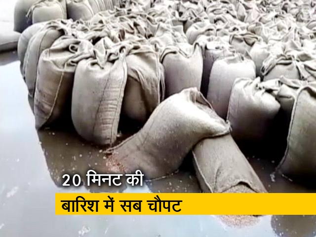 इंडिया 7 बजे: मध्य प्रदेश के दमोह में हजारों क्विंटल चना बर्बाद