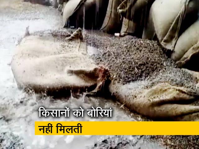 मध्य प्रदेश : 20 मिनट की बारिश में हजारों क्विंटल चना खराब