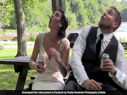 Newlyweds Narrowly Escape Falling Tree Branch During Wedding Video Shoot Newlyweds Narrowly Escape Falling Tree Branch During Wedding Video Shoot