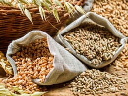 Consuming Lentils And Grains May Increase Life Expectancy By 8 To 13 Years: Study