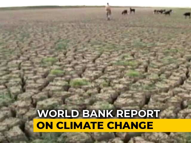 Climate Change Could Cost India 2.8 Per Cent Of GDP By 2050: World Bank