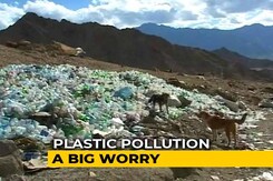 Plastic Pollution, A Big Worry For India: What Can We Do Plastic Pollution, A Big Worry For India: What Can We Do
