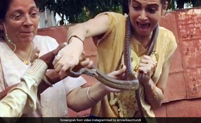 Video: सांप को गले में लटकाने के बाद एक्ट्रेस के साथ हुआ कुछ ऐसा, देखकर खड़े हो जाएंगे रोंगटे!