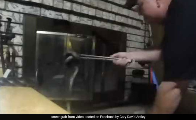 Man Spots 6-Foot Snake In Fireplace, Uses Barbecue Tongs To Remove It. Watch