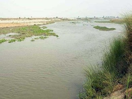 Woman Who Allegedly Killed Boyfriend, Dumped Body Into Yamuna, Arrested Woman Who Allegedly Killed Boyfriend, Dumped Body Into Yamuna, Arrested